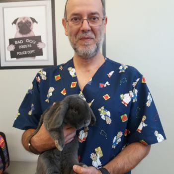 Asistencia veterinaria integral en Gijón Asistencia veterinaria integral en Gijón