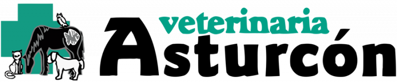 Cínica Veterinaria Asturcon